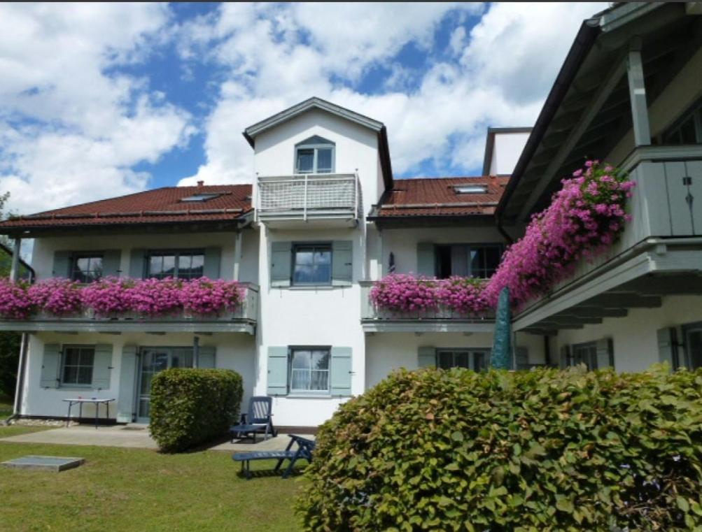 Ferienwohnanlage Bruennstein Wohnung 54 Oberaudorf Eksteriør bilde